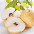 2021 High Quality Export Price Fresh Fruit Yellow Nashi Pear For Sale